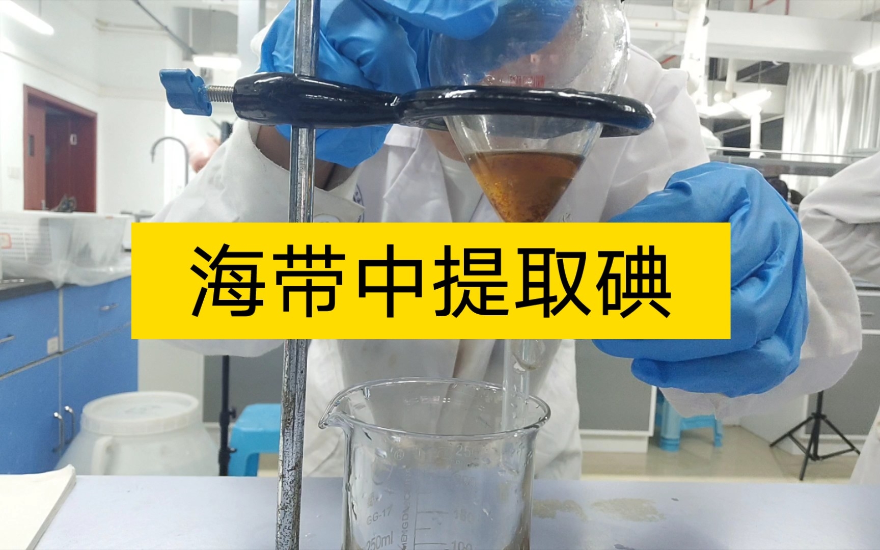 海带中提取碘