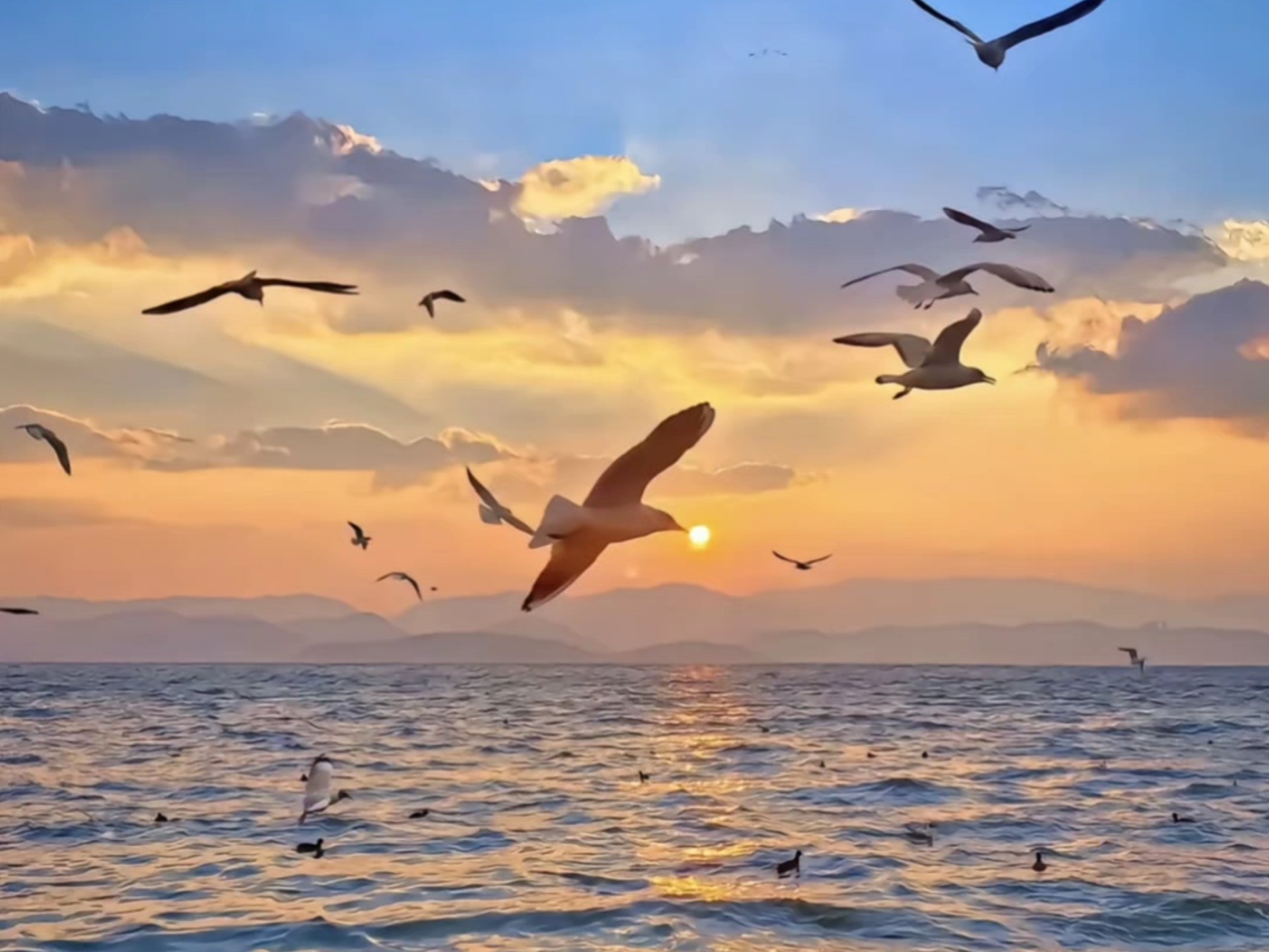 真给人一种把夕阳叼着跑的视觉感受 很不错