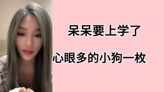 Download Video: 【王奕】要送呆呆上学去了，不上学会变成坏小狗。