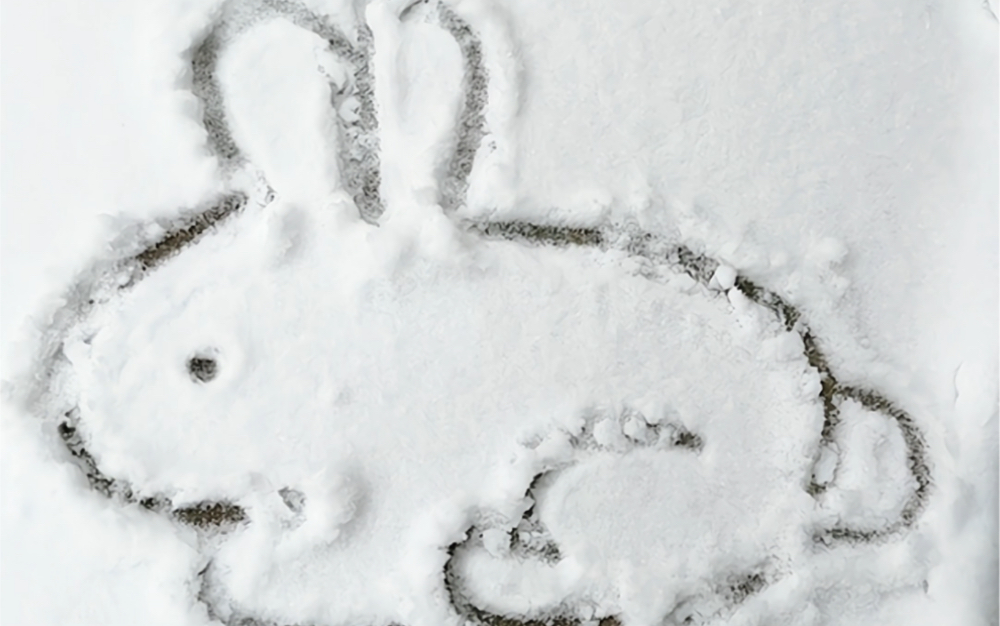 雪地里的小兔子简笔画图片