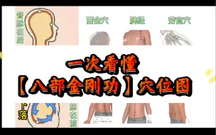 Download Video: 一次看懂【八部金刚功】穴位图，规范练功。