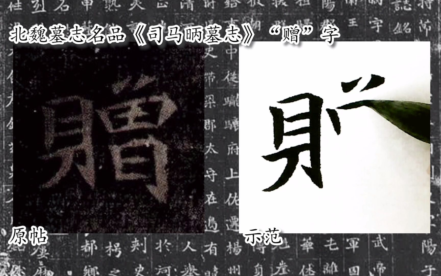 [图]【每日一字】书法系列，周东芬临北魏楷书《司马昞墓志》“赠”字