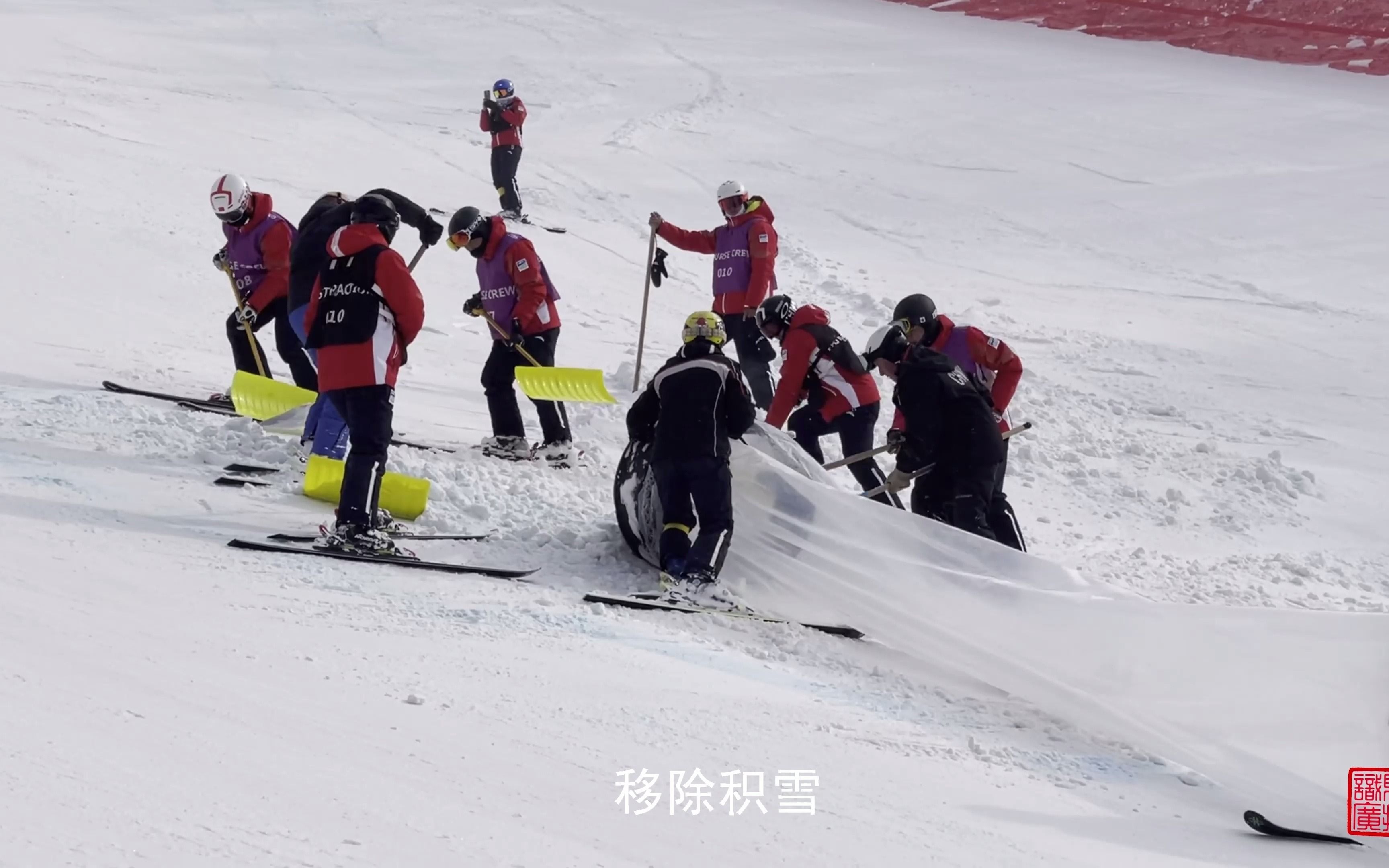 相约北京冬奥会高山滑雪测试赛哔哩哔哩bilibili