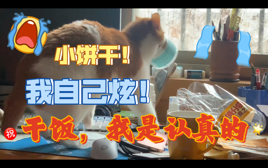 妈:这一生,你有没有为了哪怕一件事,拼命过,努力过? 我:干饭!