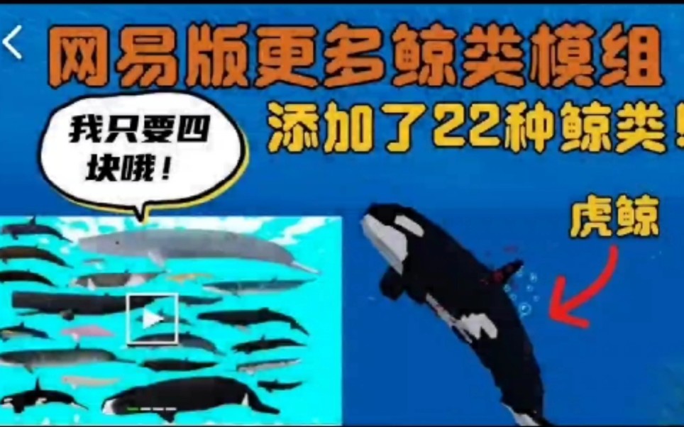 我的世界手机版模组介绍更多鲸类鲸豚之歌发的是2021715日的库存了