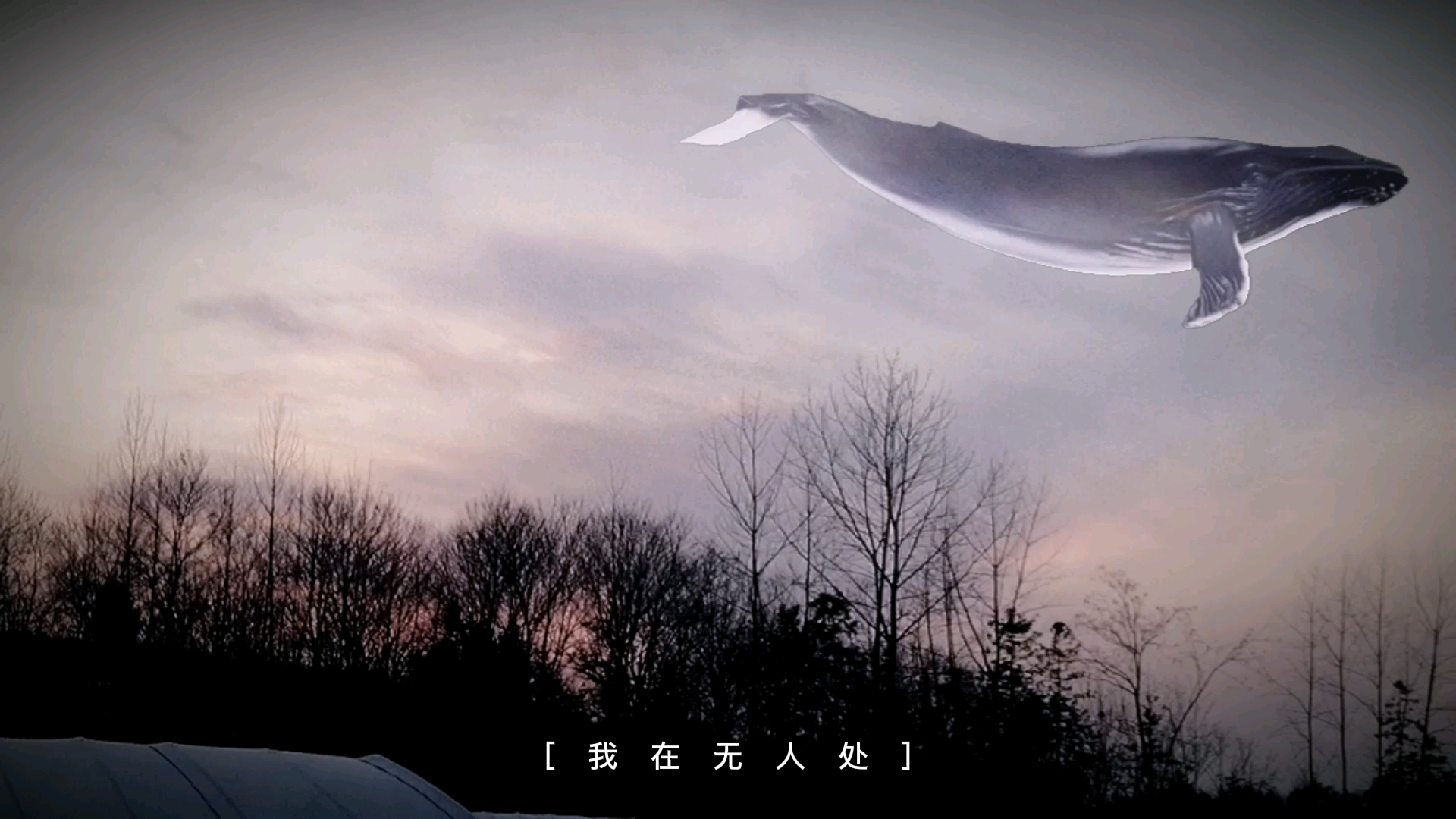 大雾四起,偷偷藏匿,我在无人处爱你