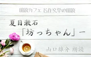 山口雄介 哔哩哔哩 Bilibili