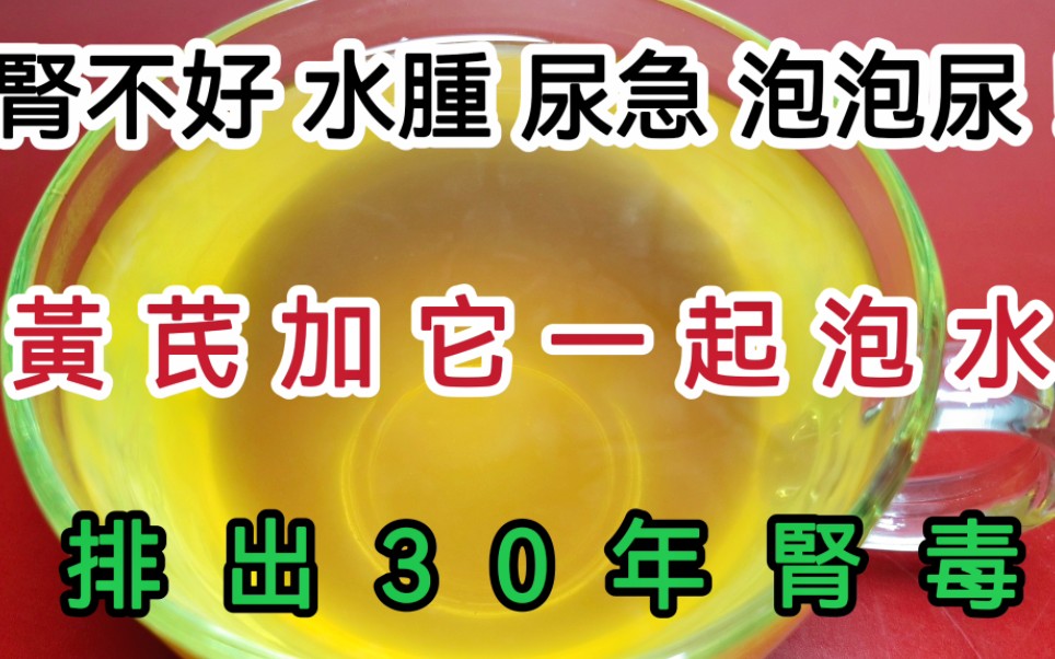 肾不好、水肿、尿急、泡泡尿,那是肾脏毒素严重超标了,只需用黄芪搭配它煮水喝坚持三天,就能排出30年的肾脏毒素,肾虚肾病人群快试试吧!哔哩哔...