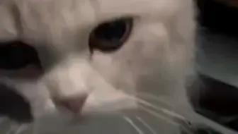 走错房间的丢丢