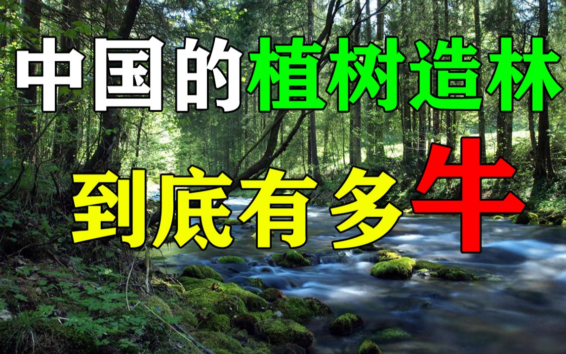 【韩秀云】中国的植树造林工程到底有多牛?哔哩哔哩bilibili