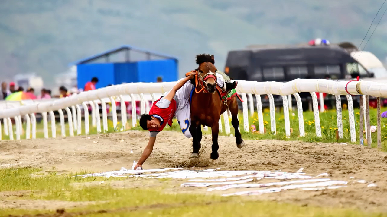 香格里拉端午节赛马会掠影