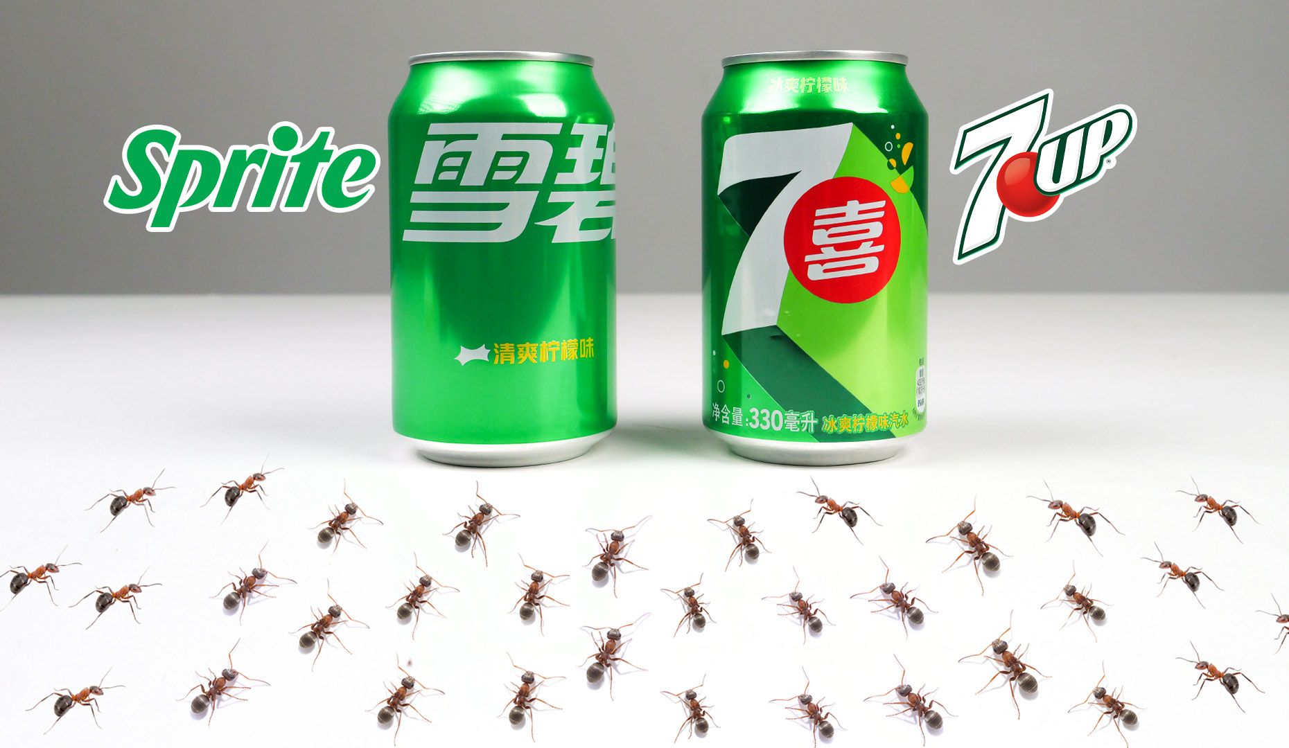 把雪碧和七喜同时喂给蚂蚁,它们会喝哪个?