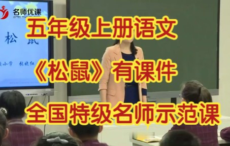 部编版小学语文五年级上册《松鼠》有课件教案 全国特级名师示范课哔哩哔哩bilibili