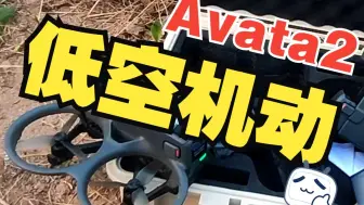 Descargar video: Avata2 低空机动性能（视频未加速）