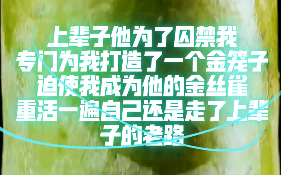 上辈子他为了囚禁我专门为我打造了一个金笼子迫使我成为他的金丝雀重活一遍自己还是走了上辈子的老路哔哩哔哩bilibili