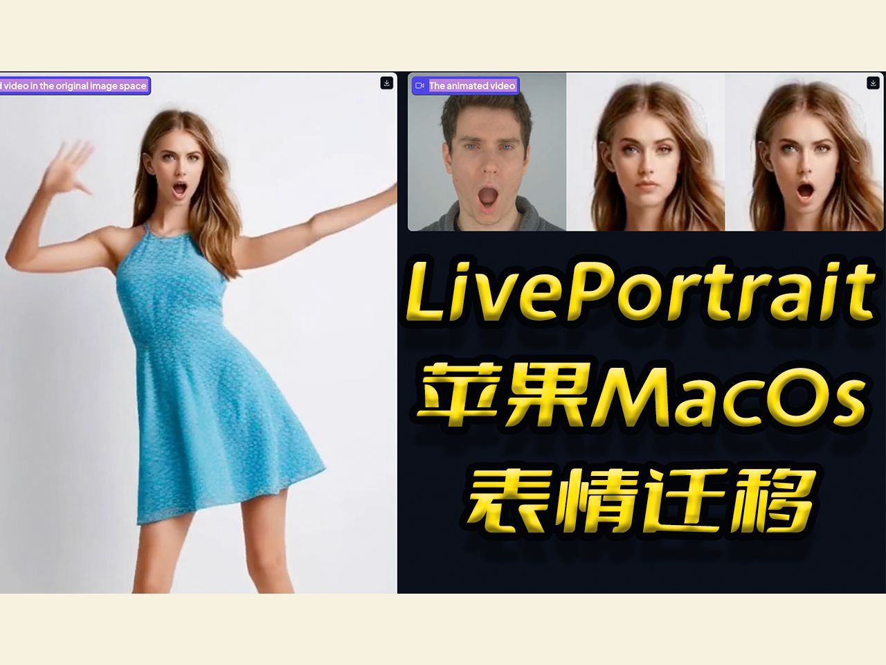 新版LivePortrait整合包(苹果MacOsAppleSilicon),图片引擎,AI表情迁移,图片驱动图片,图片驱动视频,快手团队开源哔哩哔哩bilibili