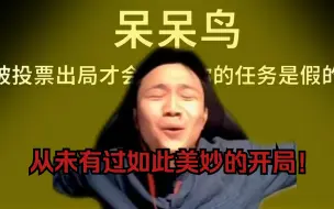 Скачать видео: danking鹅鸭杀随机到呆呆鸟，真让孩子装到了！