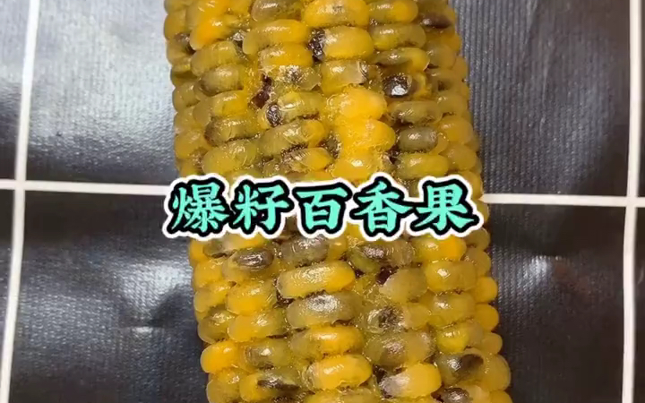 百香果声控〕小翠花吖的百香果爆籽合集_哔哩哔哩_bilibili