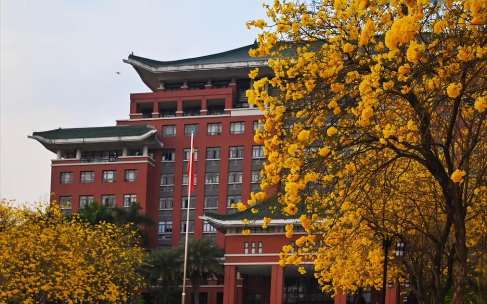 活动作品我们学校上学像度假