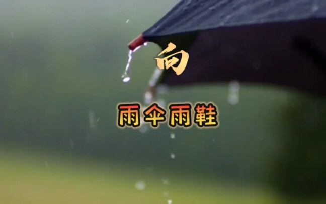 看看雨伞雨鞋怎么说的?