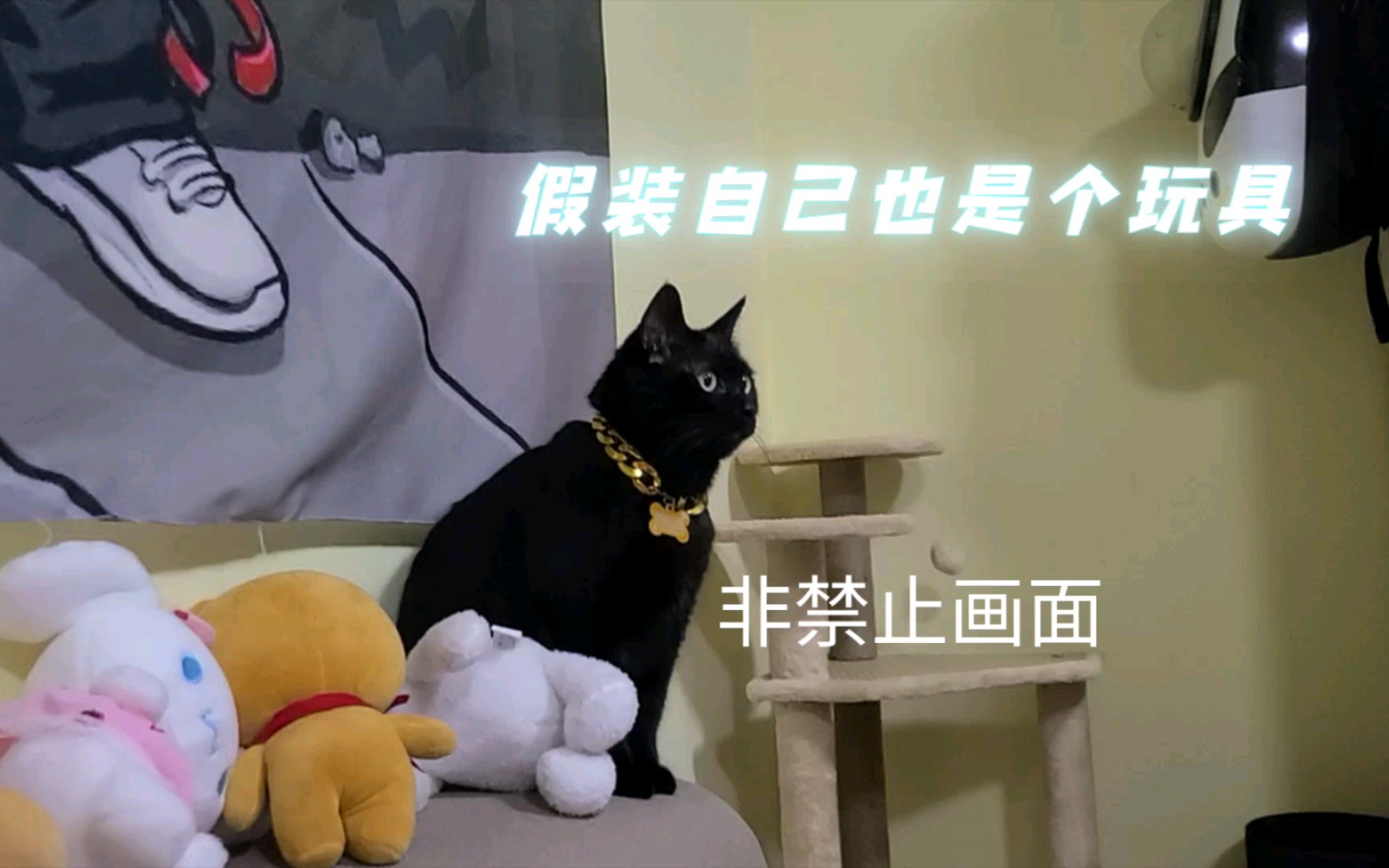 黑猫保安队长的日常巡逻工作哔哩哔哩bilibili