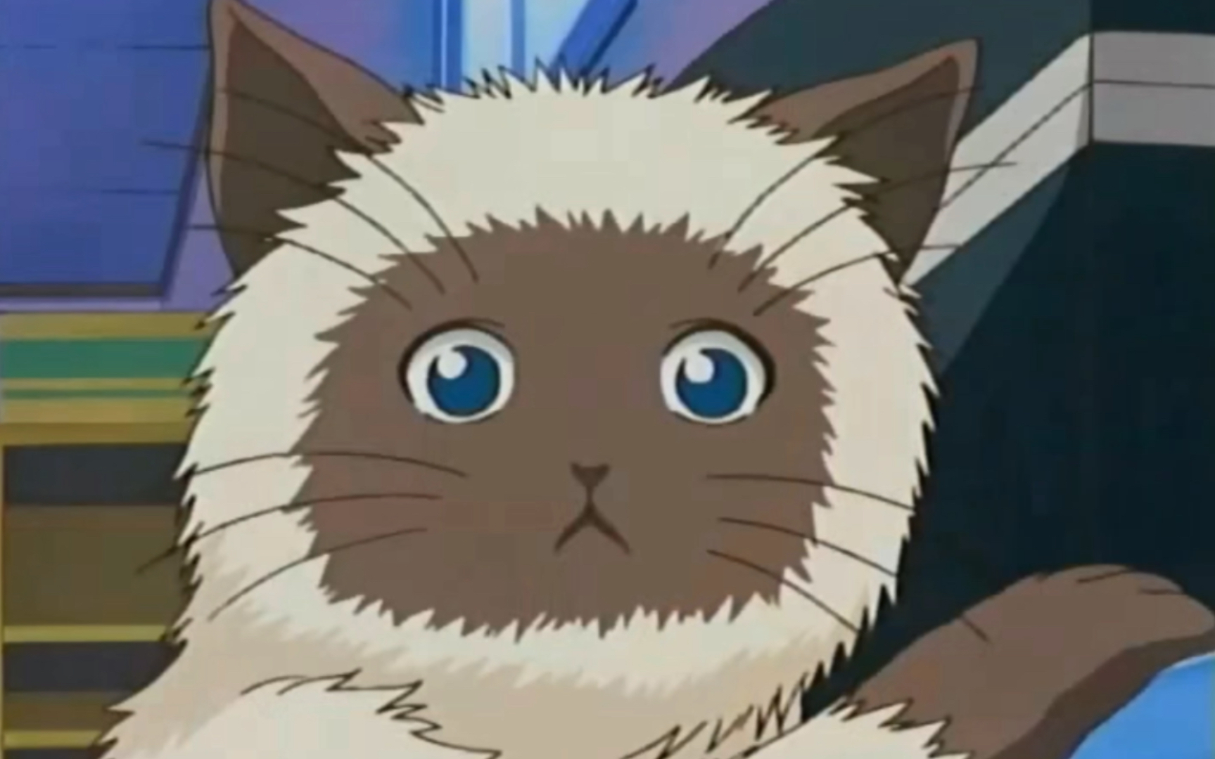 【网球王子】海棠和卡尔宾_哔哩哔哩_bilibili