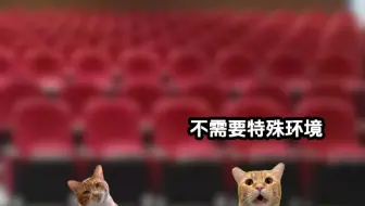 《北野六代》第15集