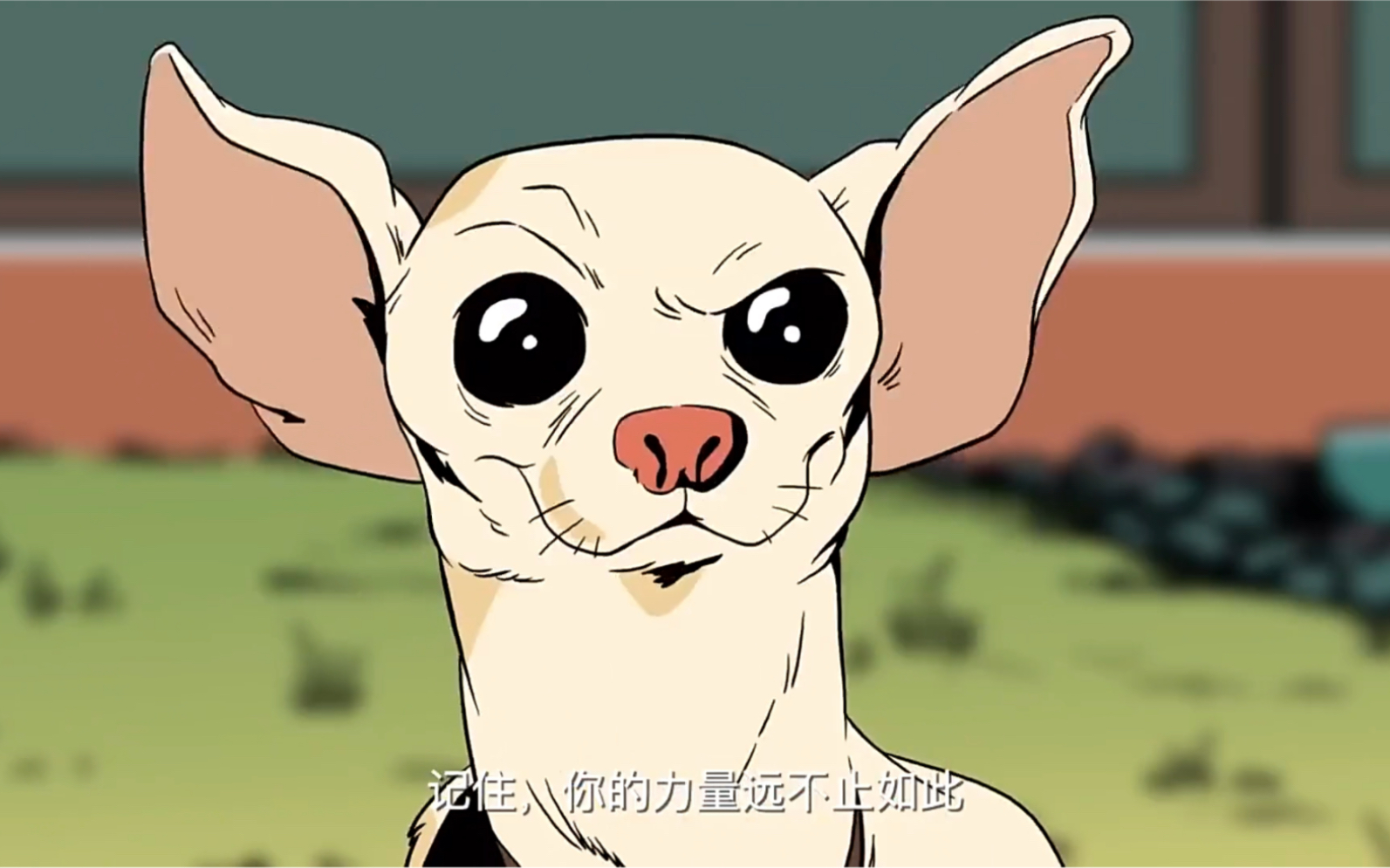 沙雕狗子这水汪汪的大眼睛