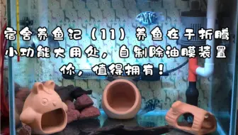 水族 简易廉价除油膜器的制作 哔哩哔哩 Bilibili