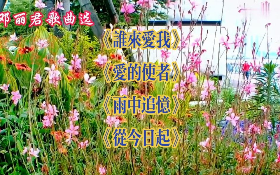 《谁来爱我》 《爱的使者》 《雨中追忆》 《从今日起》 邓丽君哔哩哔哩bilibili