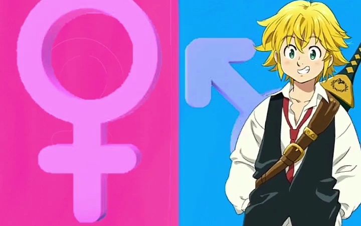 动漫角色性别转换