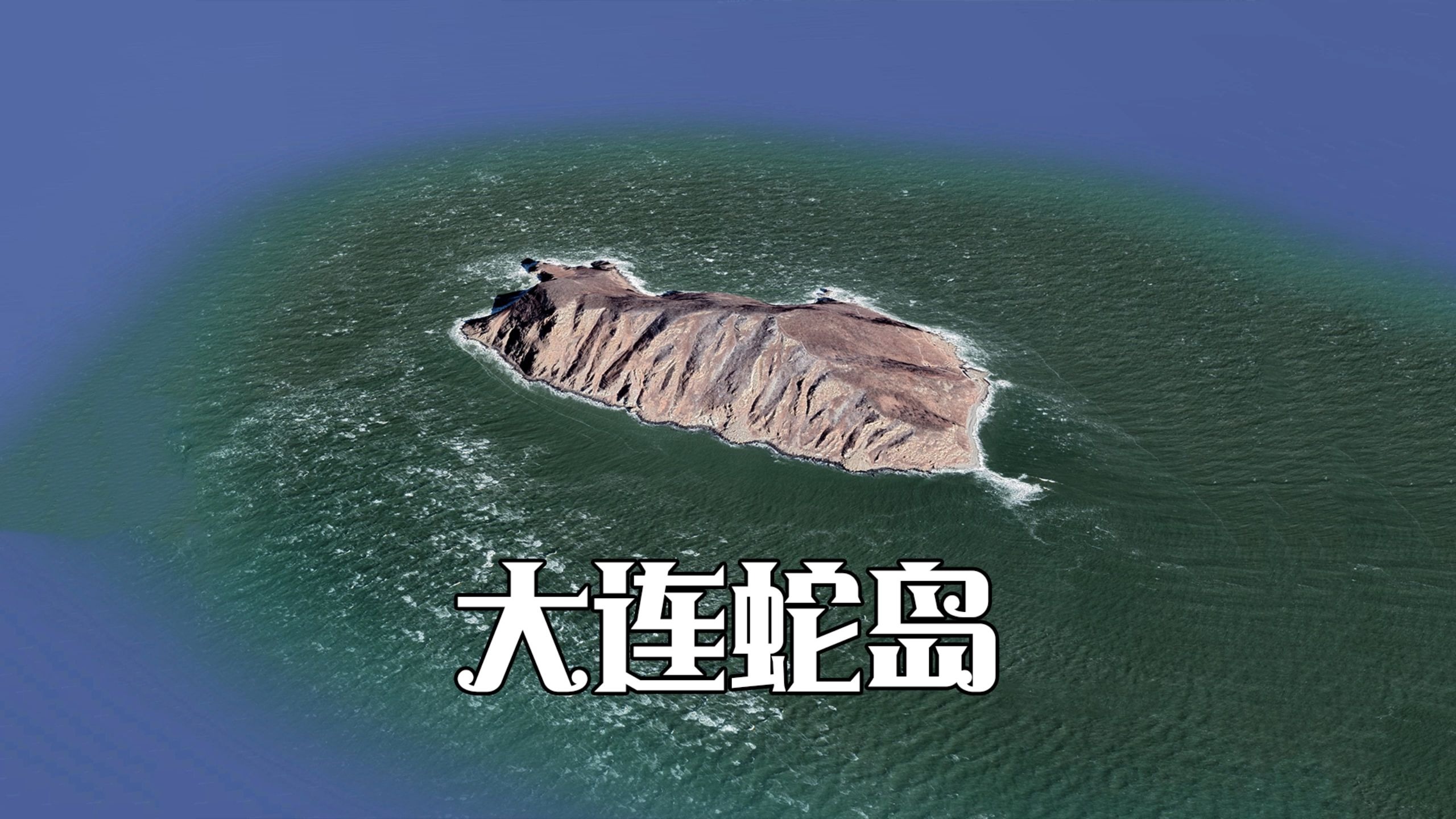 全球唯一单一蝮蛇聚居的海岛，岛上盘踞着大约两万条剧毒蝮蛇