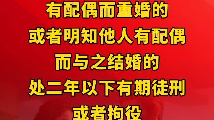 【重婚罪】有配偶而重婚的,或者明知他人有配偶而与之结婚的,处二年以下有期徒刑或者拘役.哔哩哔哩bilibili