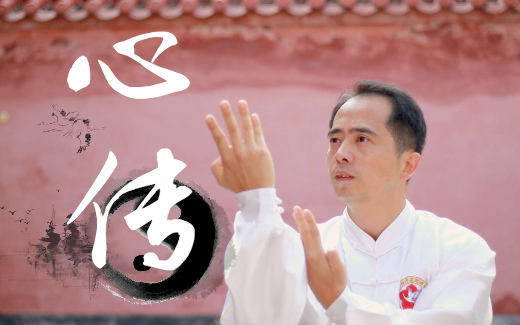 不,是永春白鹤拳(个人毕设作品《白鹤永春·心传》)