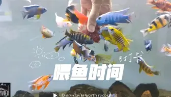 #国外三湖 国外鱼友的喂鱼时间，一缸完美发色的鱼。是跟喂的红虫有关，还是？