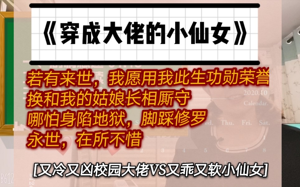 【推文】《穿成大佬的小仙女》重生文+双向救赎文,穿越软萌女和不良校霸男组合,上辈子的遗憾今生弥补哔哩哔哩bilibili