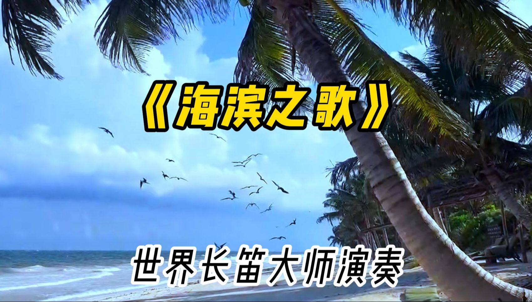 悠扬长笛曲《海滨之歌》,一份怀念,一丝惆怅哔哩哔哩bilibili