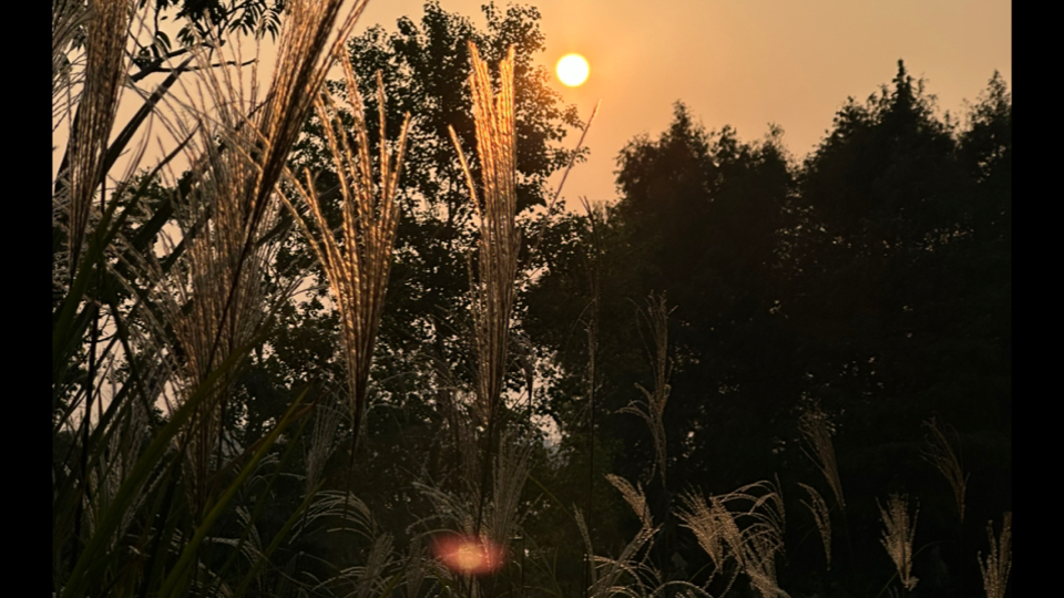 一天功夫水又下去了哔哩哔哩bilibili