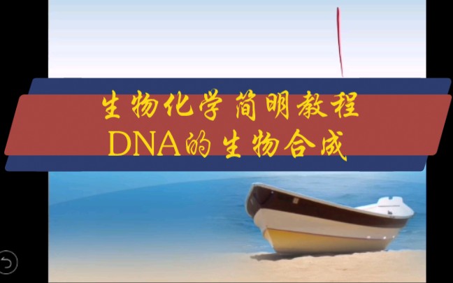 [图]生物化学简明教程 DNA的生物合成