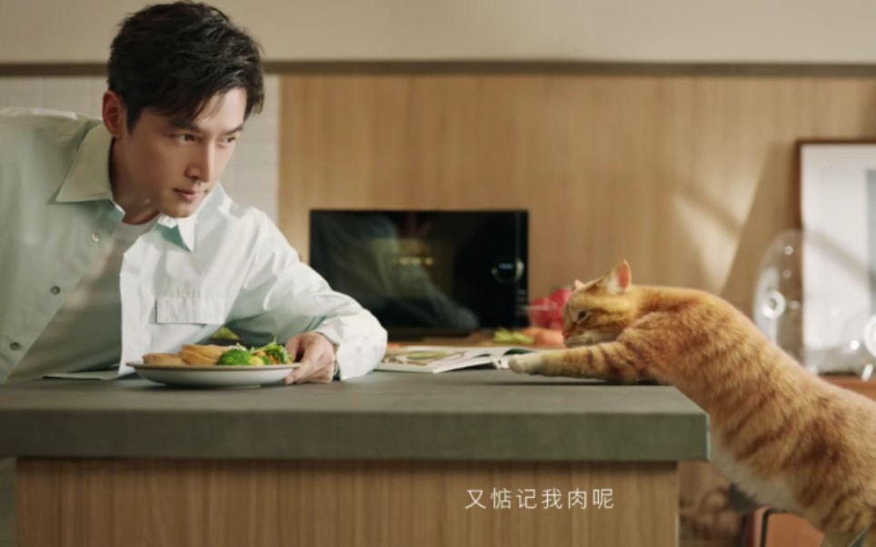 胡歌与猫 这对cp我嗑惹!