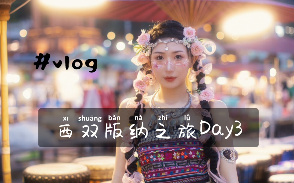 西双版纳之旅Day3|哈尼宝贝写真照~哔哩哔哩bilibili