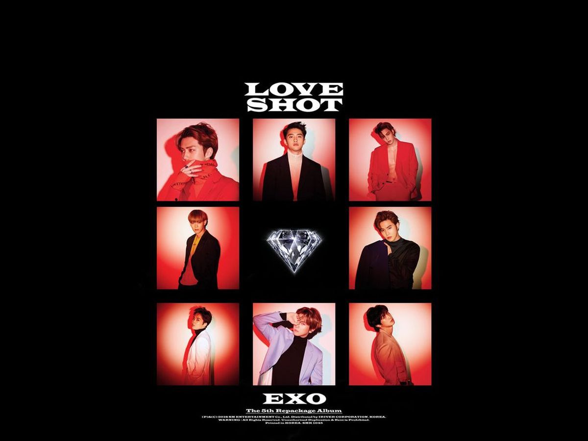 exo love shot照片图片