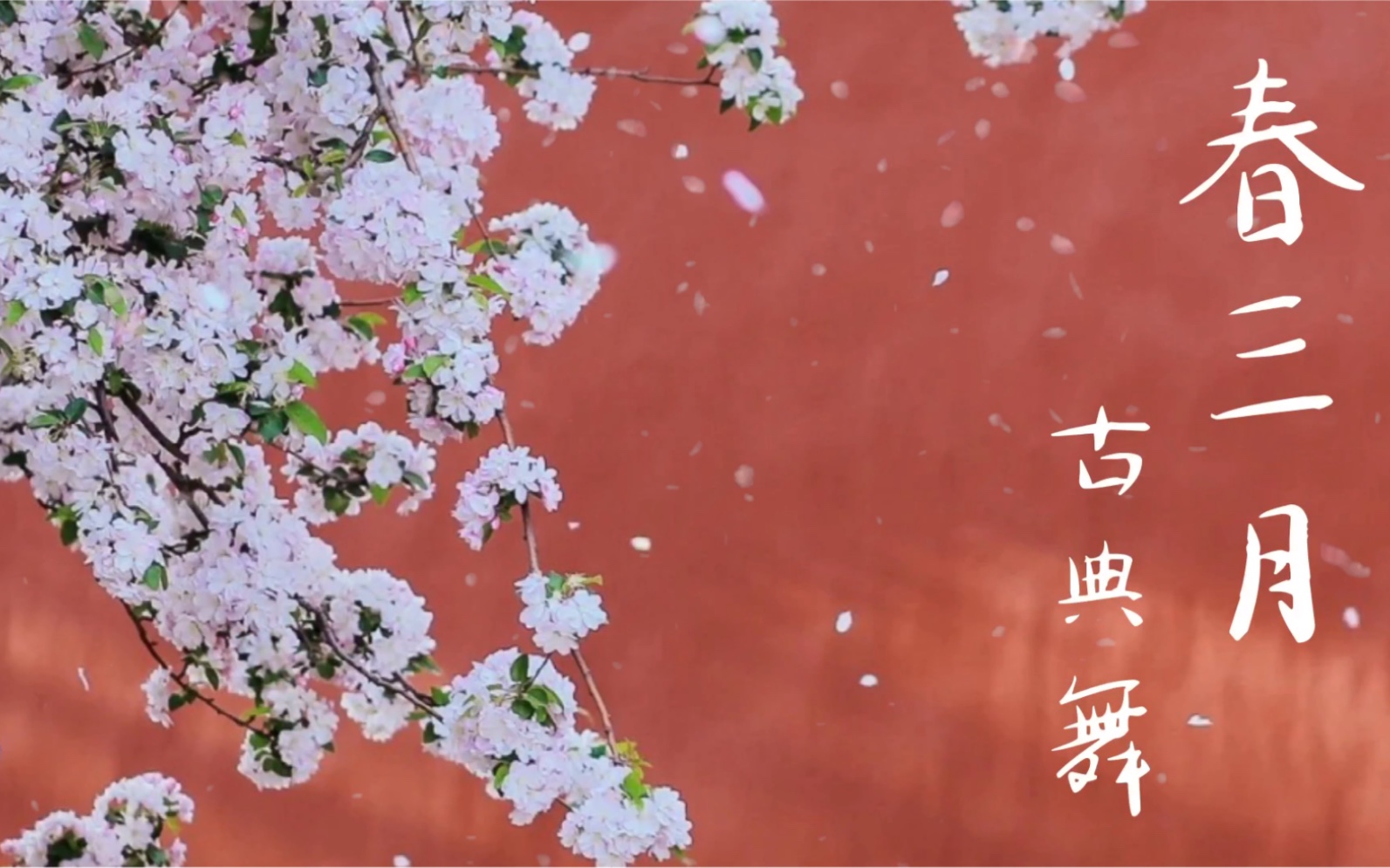 「青岛ctrl舞蹈」缇子导师 古典舞 《春三月》编舞:郭青天_哔哩哔哩