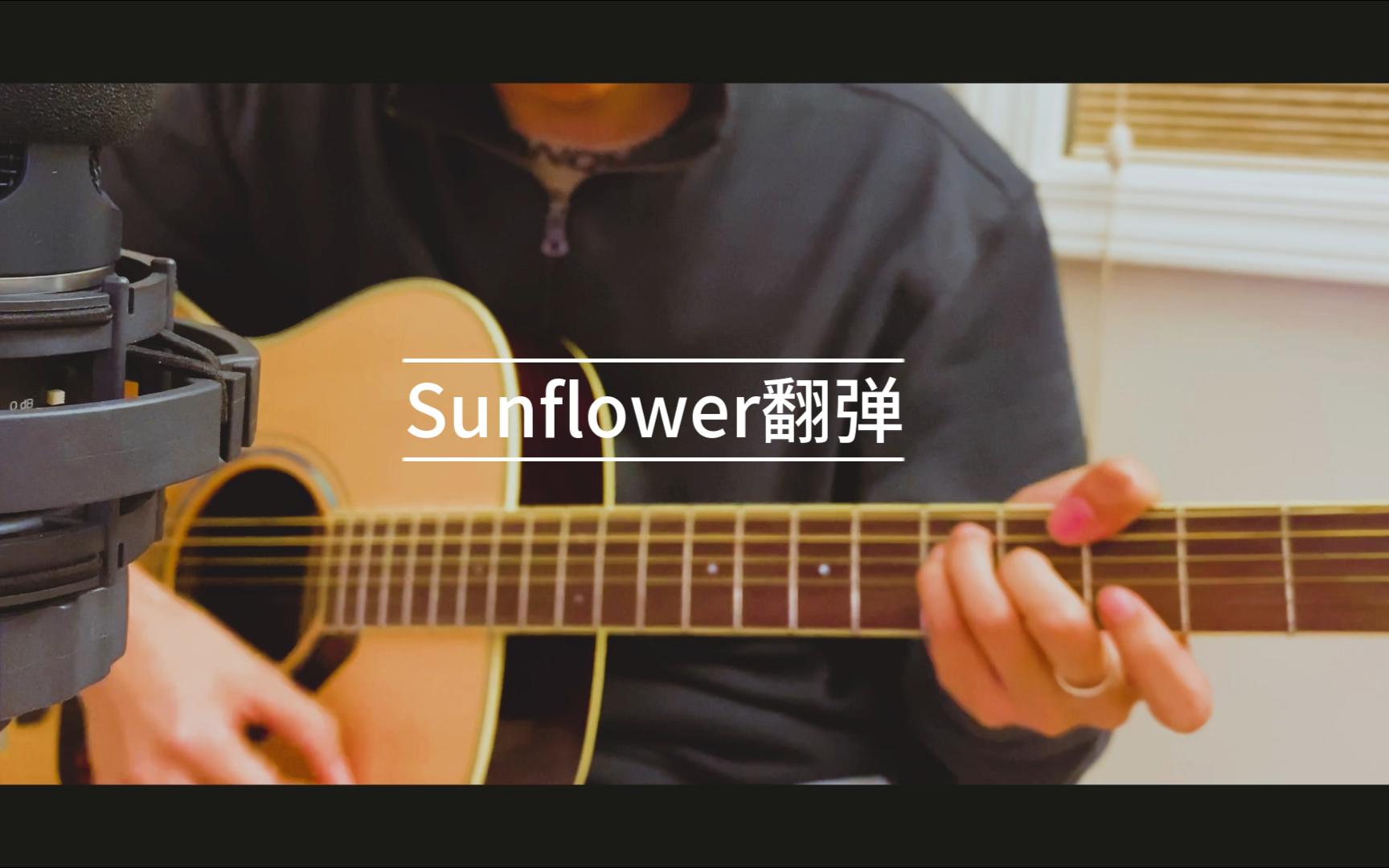 【指弹】孙培博Sunflower翻弹哔哩哔哩bilibili