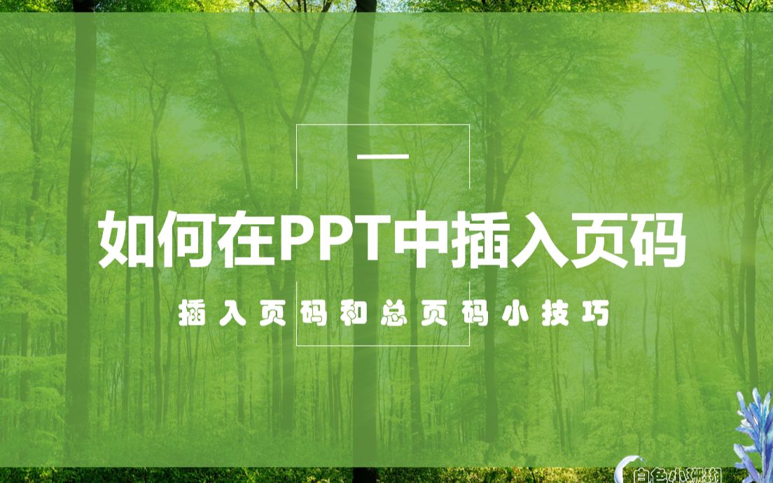 PPT如何给每页添加页码?小姐姐纯干货分享,跟我一步步学办公软件哔哩哔哩bilibili