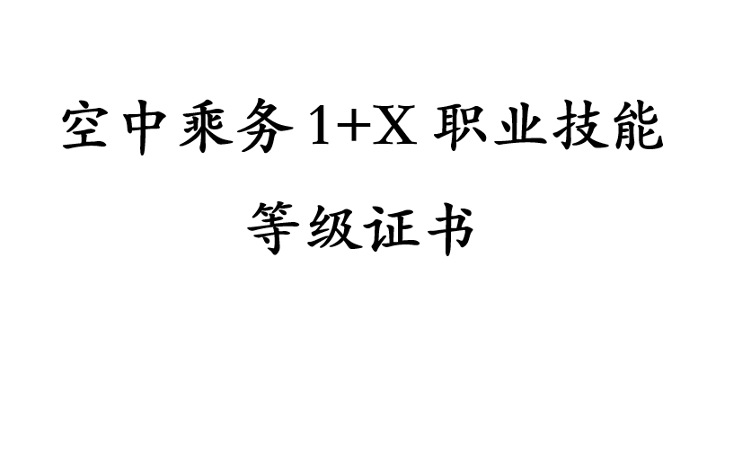 空中乘务1+X职业技能等级证书哔哩哔哩bilibili