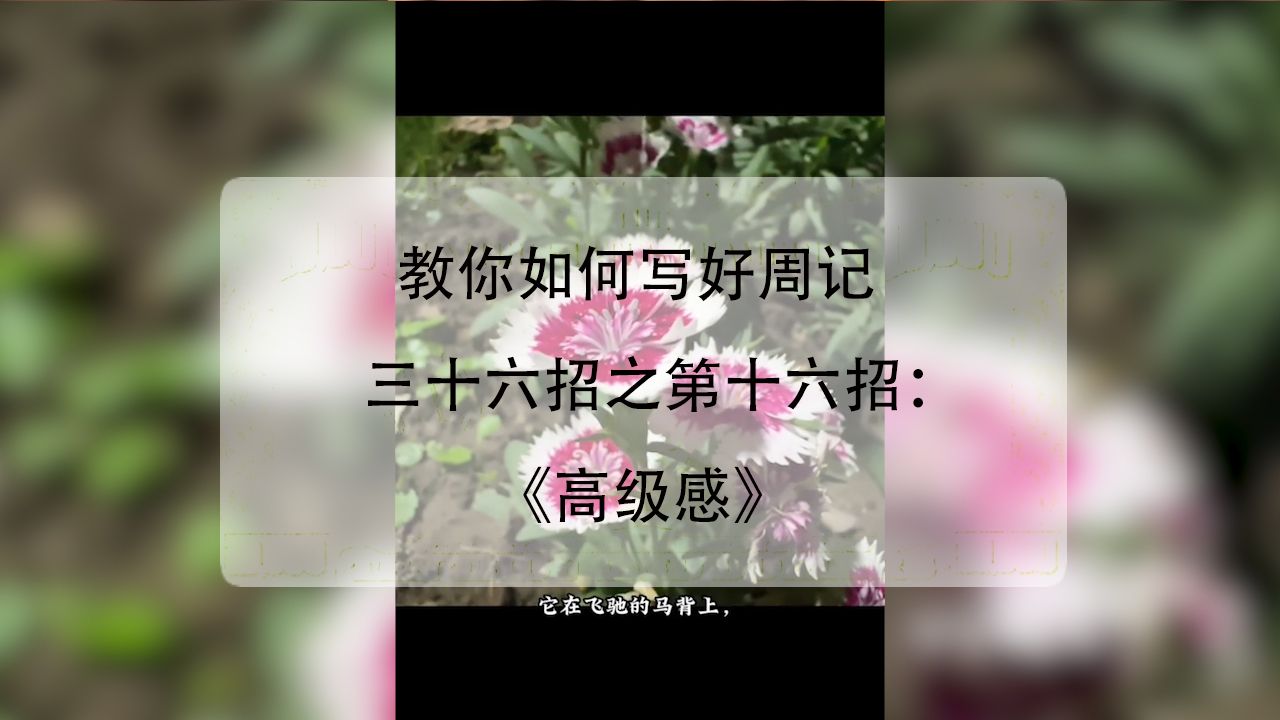 写作三十六招之第十六招:《高级感》,教你如何轻松写出一篇好周记哔哩哔哩bilibili