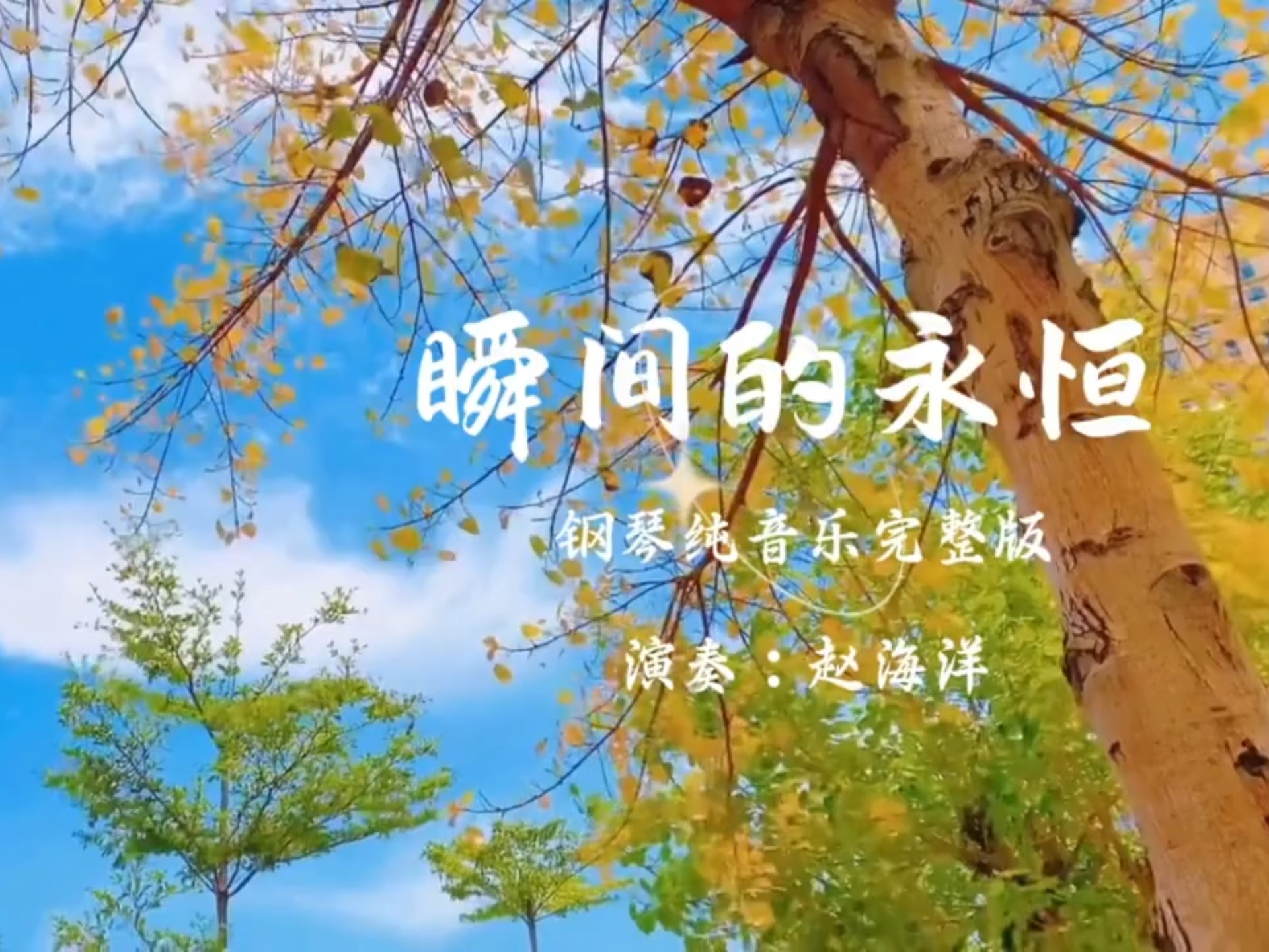 瞬间的永恒钢琴纯音乐完整版 #赵海洋 #背景视频素材