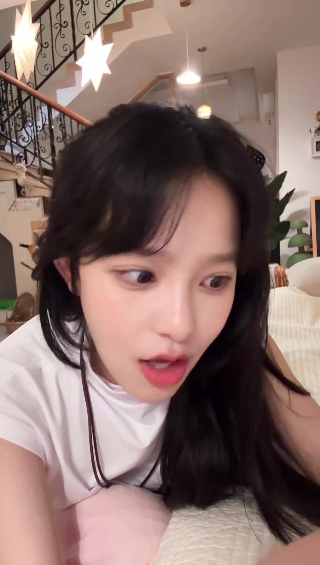 葵花妙飞鱼 2025