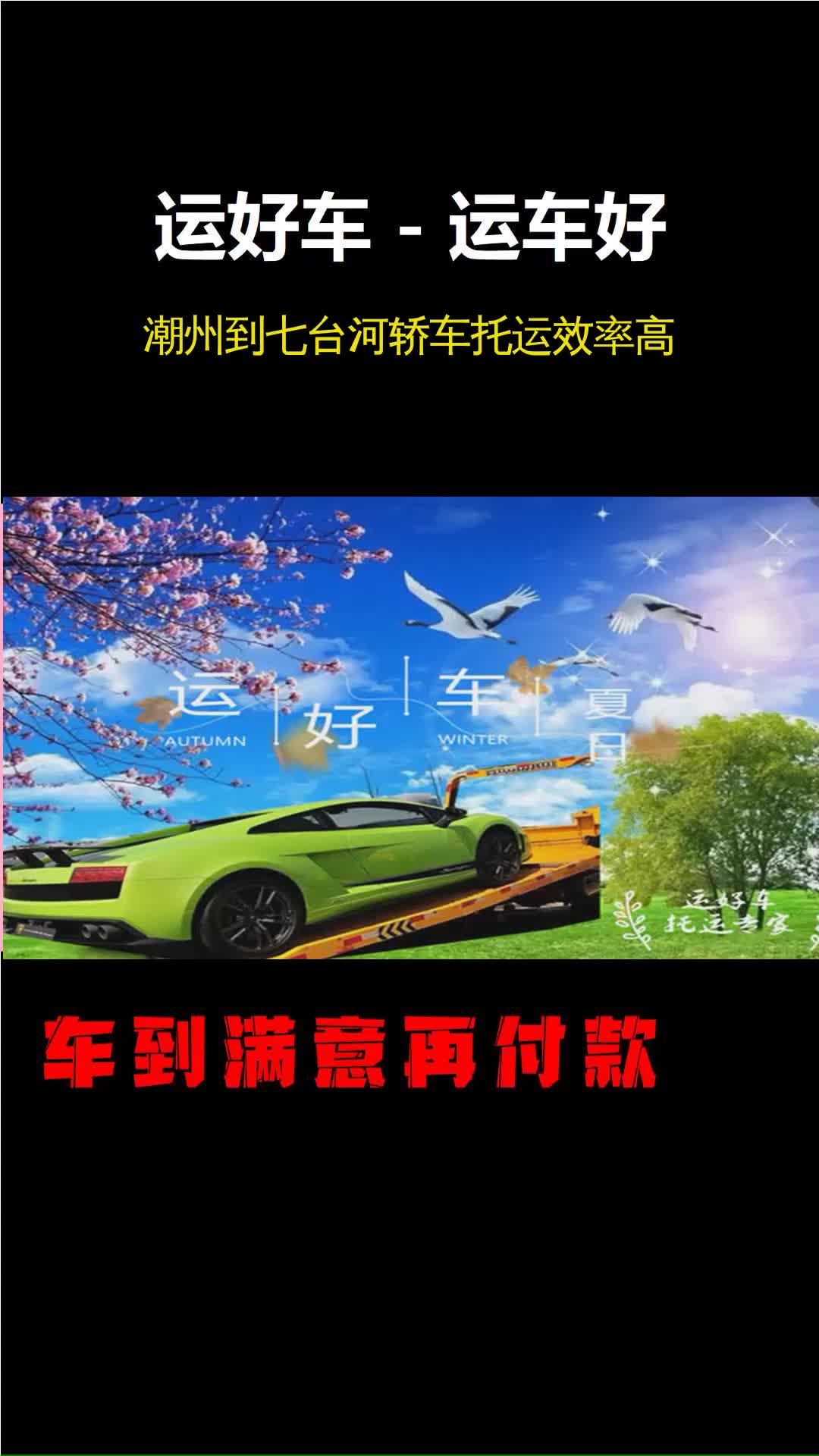 潮州到七台河轿车托运效率高 #潮州到七台河轿车托运效率高 #托运车辆物流一车一板位哔哩哔哩bilibili